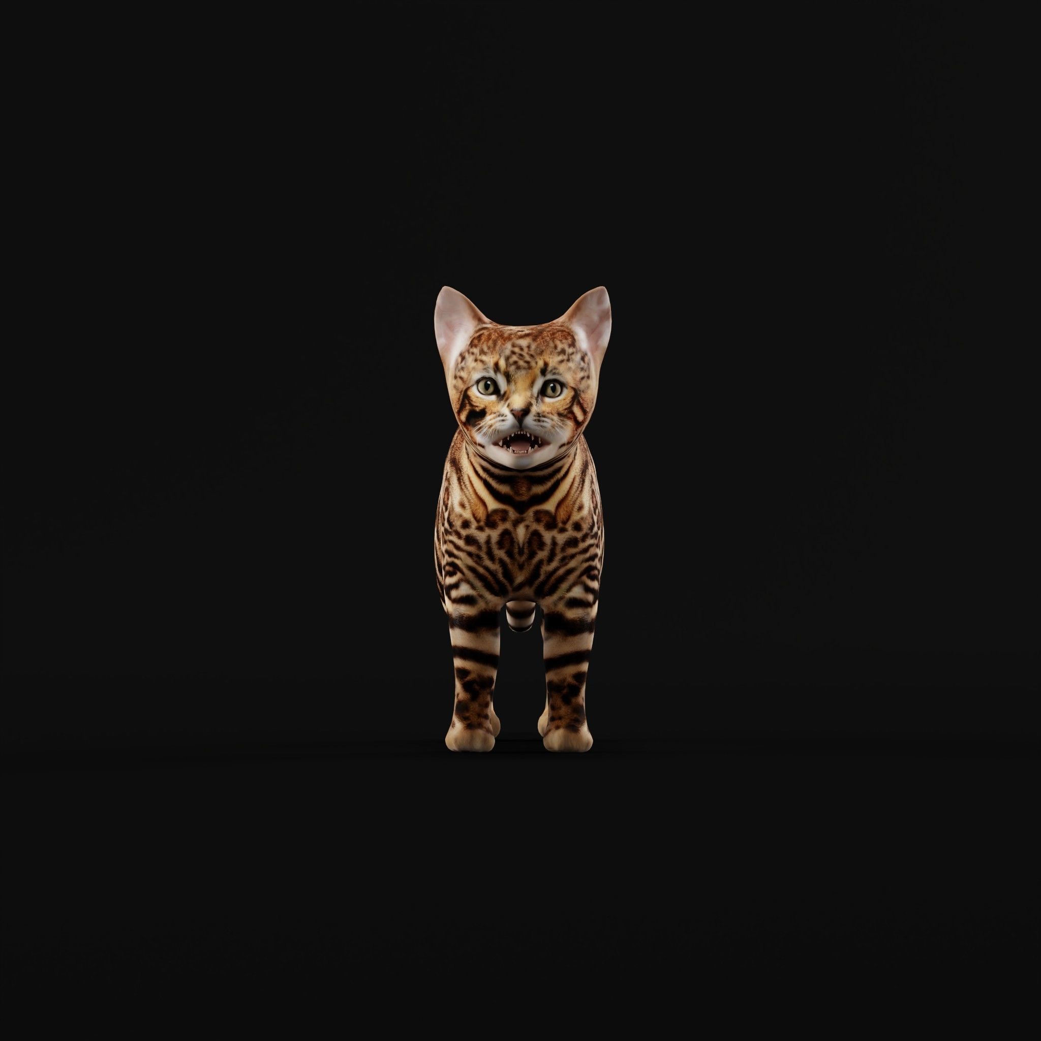 Bengal Kitten Cat Low-poly 3D model_27