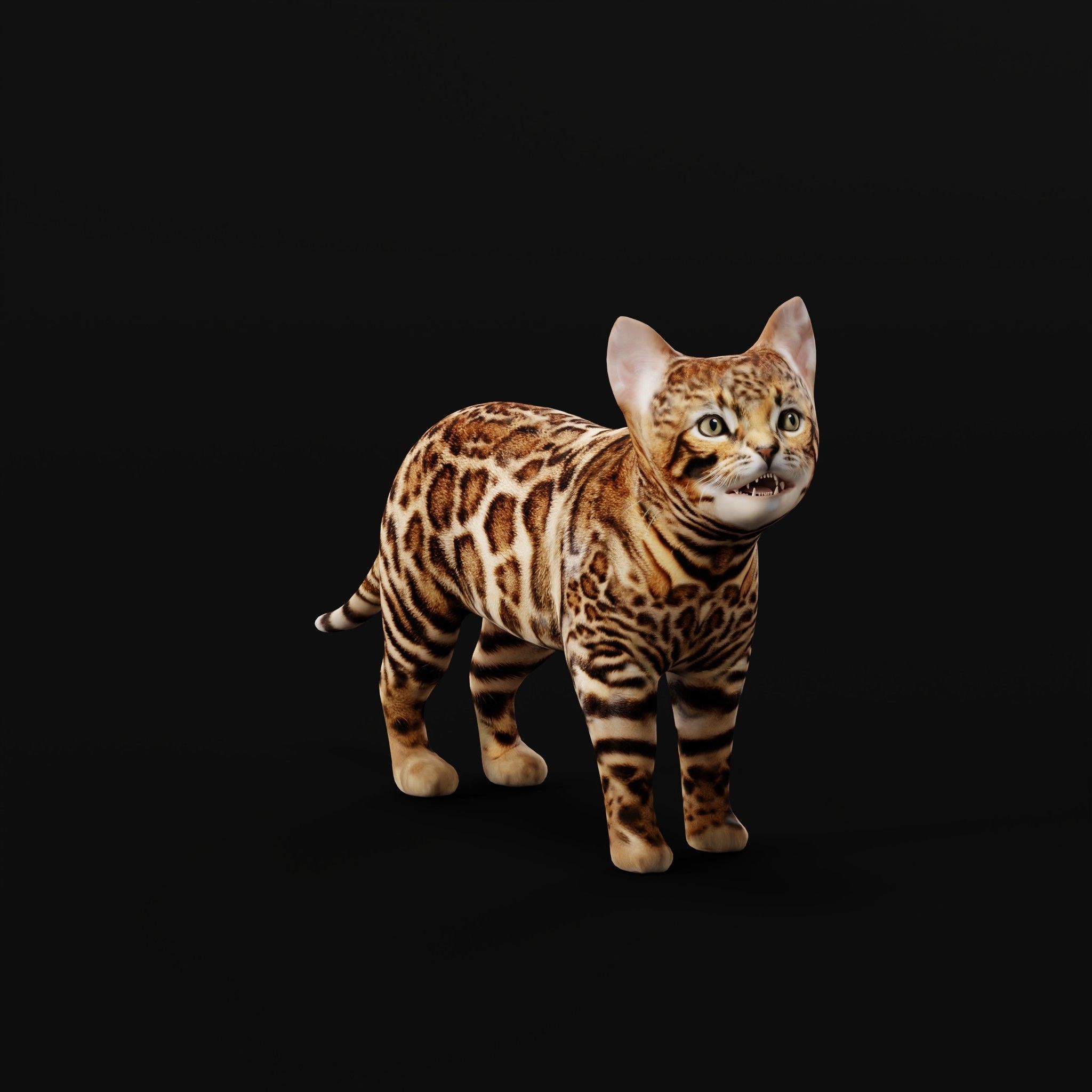Bengal Kitten Cat Low-poly 3D model_30