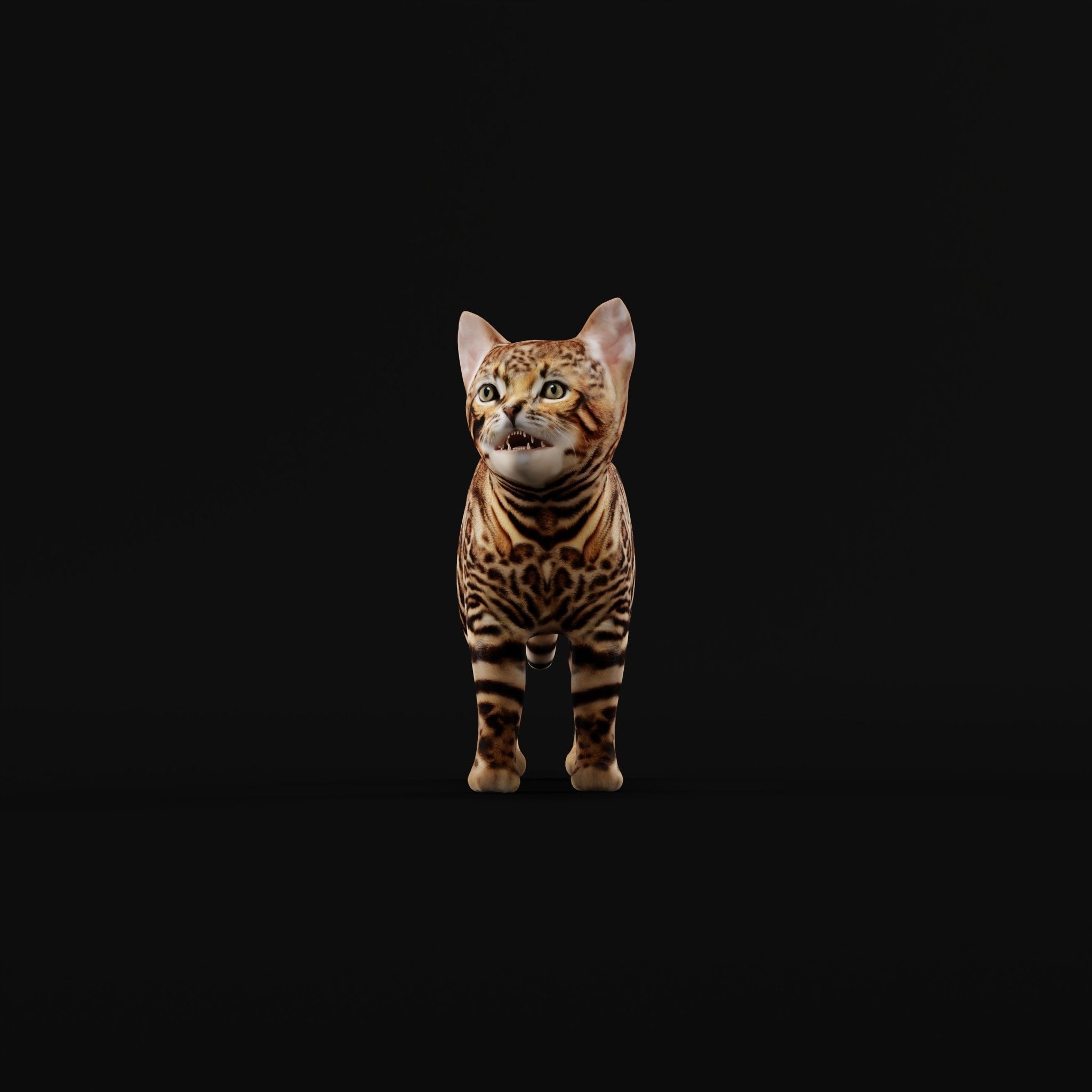 Bengal Kitten Cat Low-poly 3D model_31