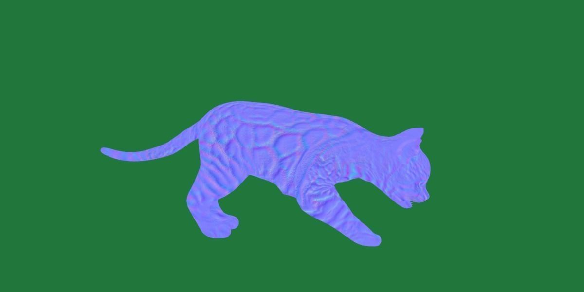 Bengal Kitten Cat Low-poly 3D model_4