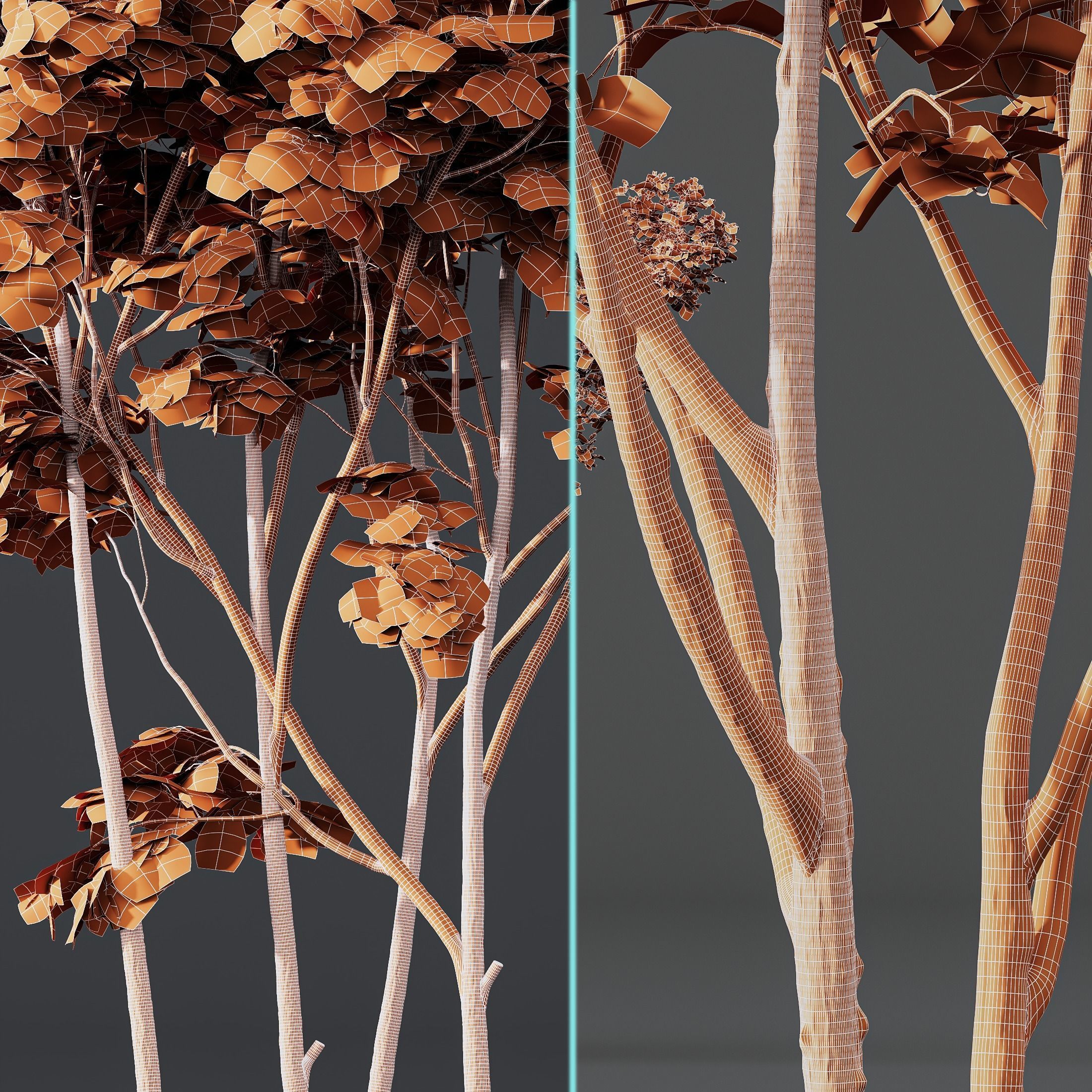 spring trees Ash Maple and Acer Pseudoplatanus 3D model_8