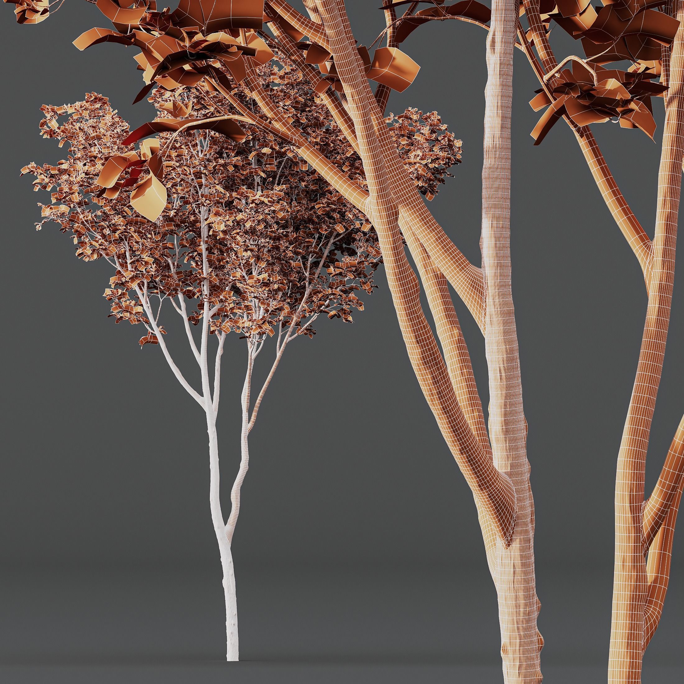 spring trees Ash Maple and Acer Pseudoplatanus 3D model_9