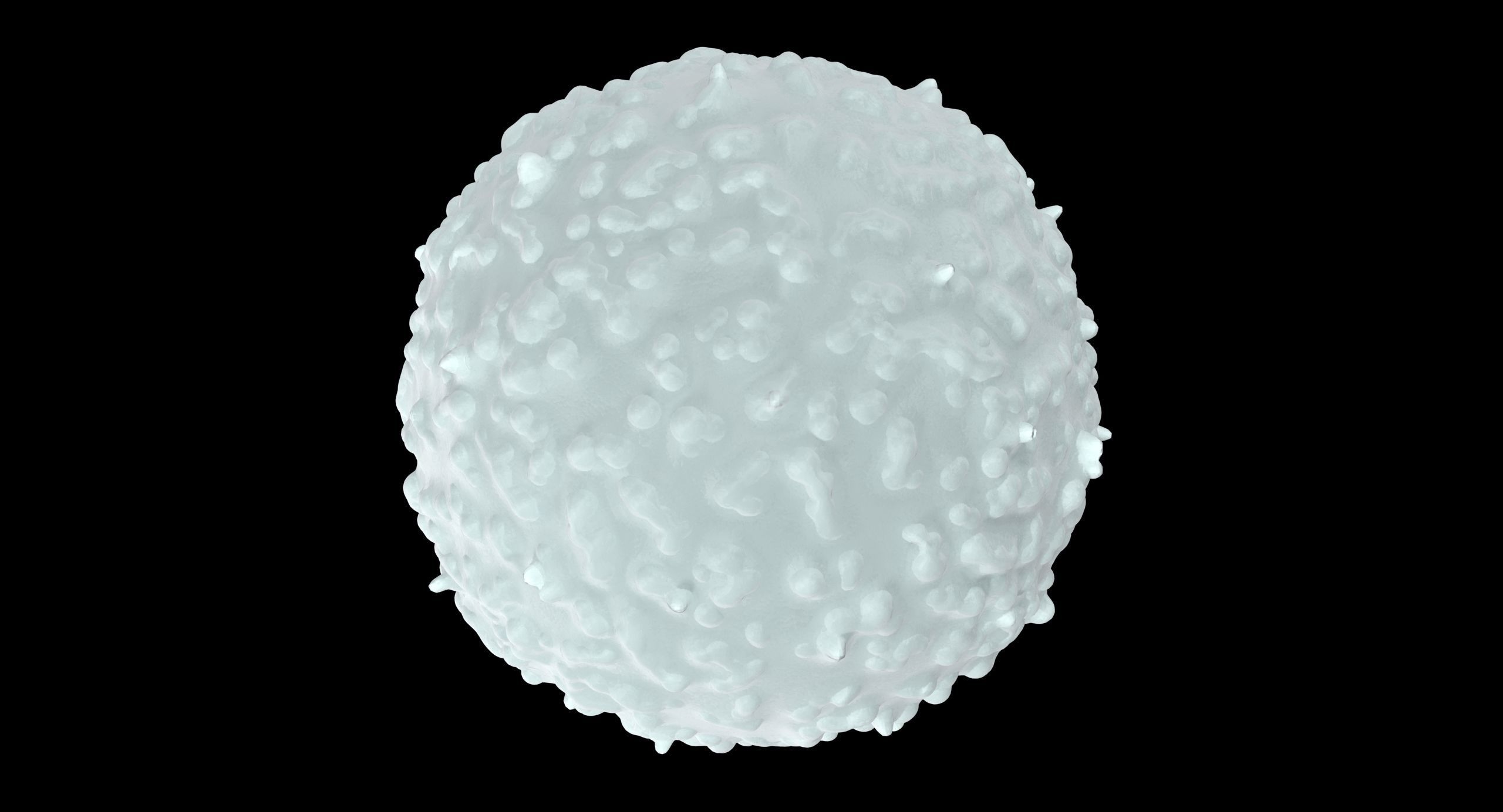 White Blood Cell Low-poly 3D model_14