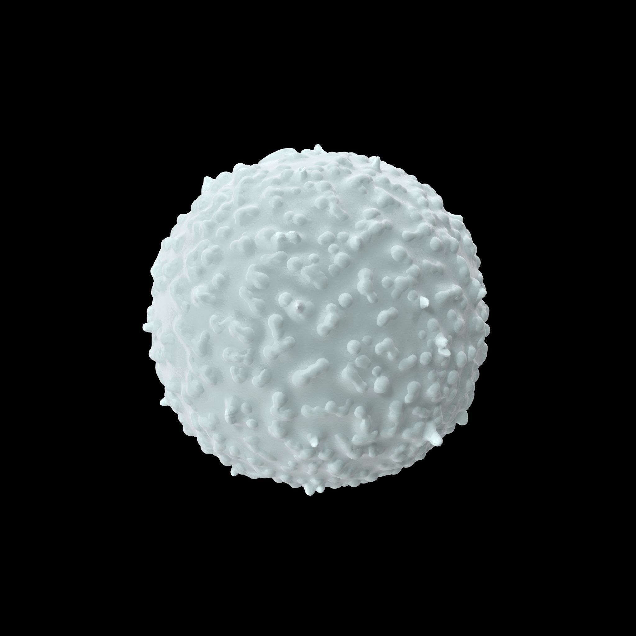 White Blood Cell Low-poly 3D model_10