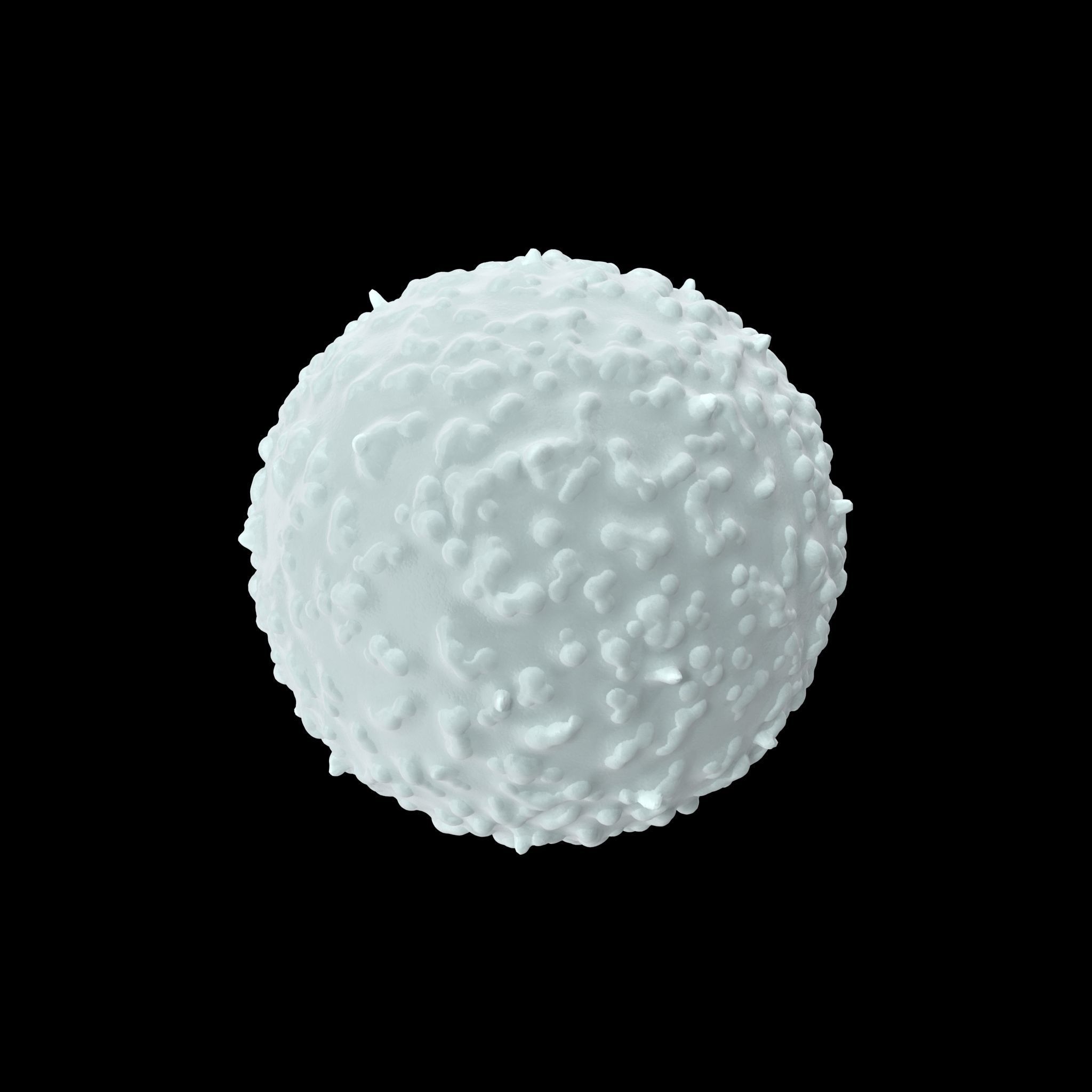White Blood Cell Low-poly 3D model_8
