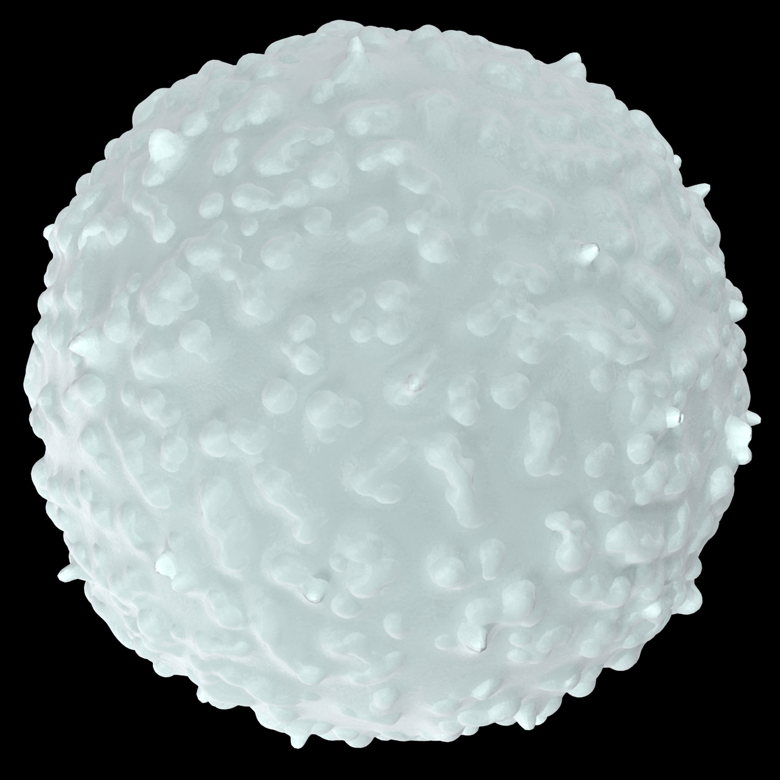 White Blood Cell Low-poly 3D model_5