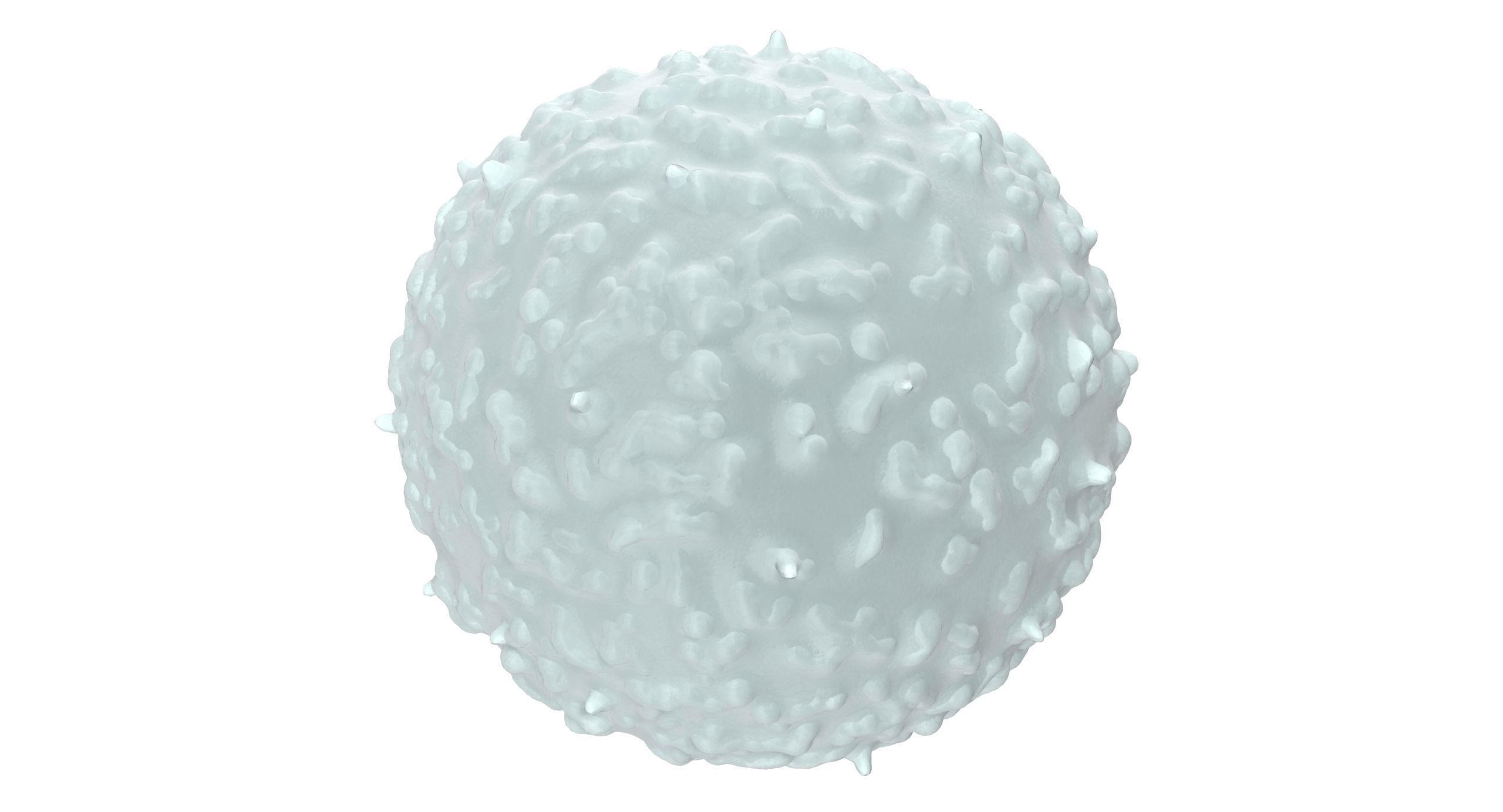 White Blood Cell Low-poly 3D model_2
