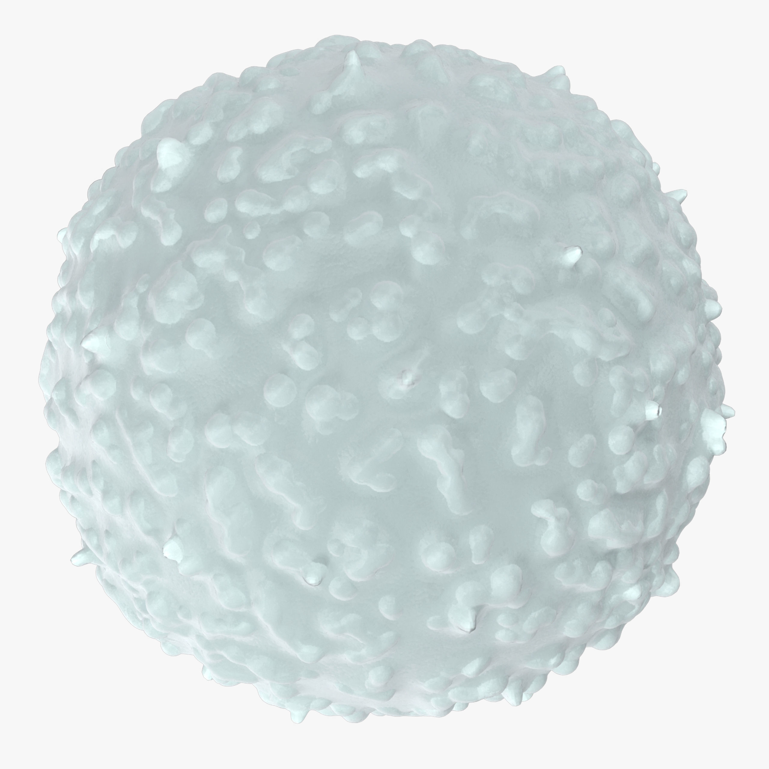 White Blood Cell Low-poly 3D model_4