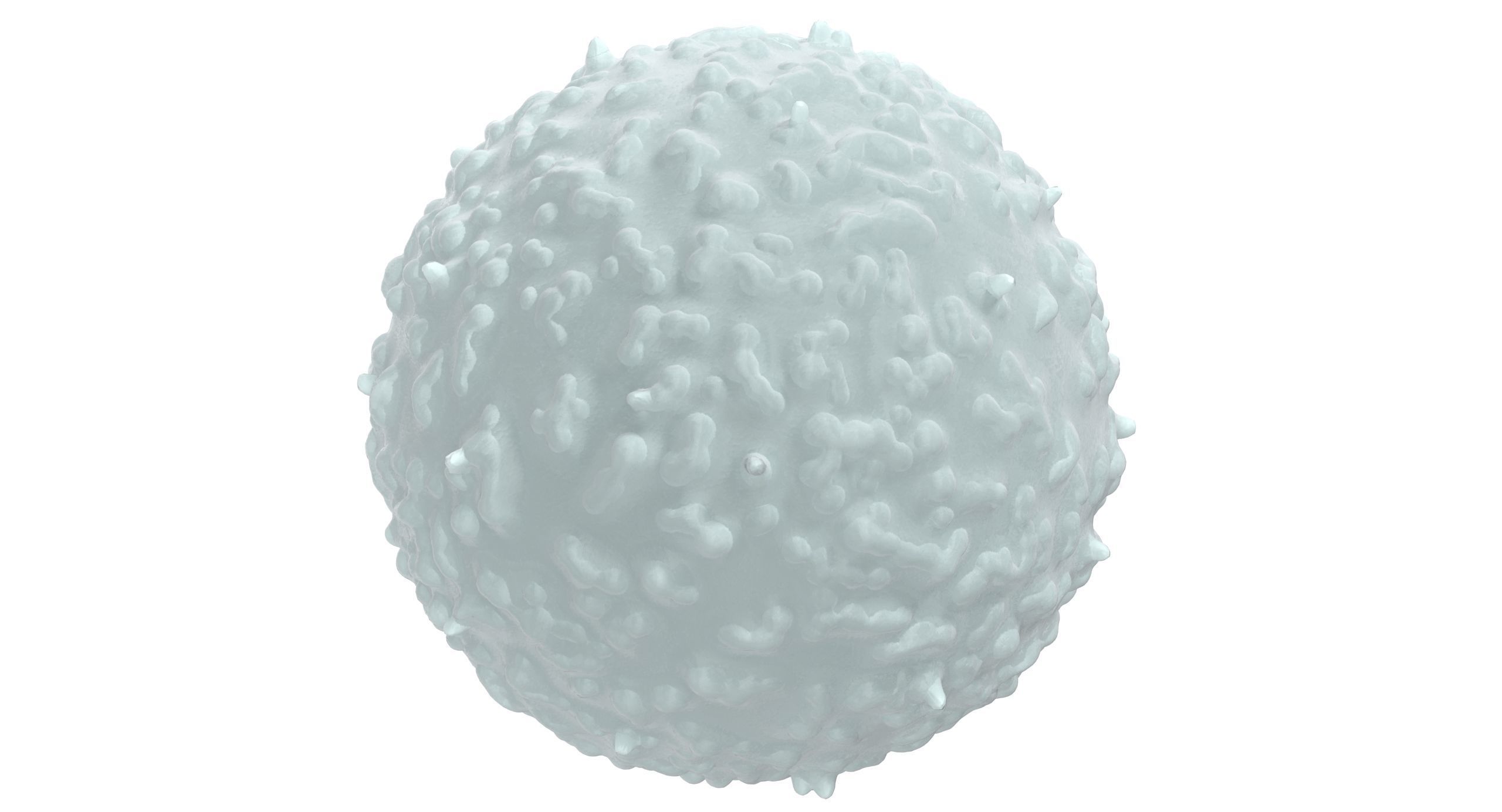 White Blood Cell Low-poly 3D model_3