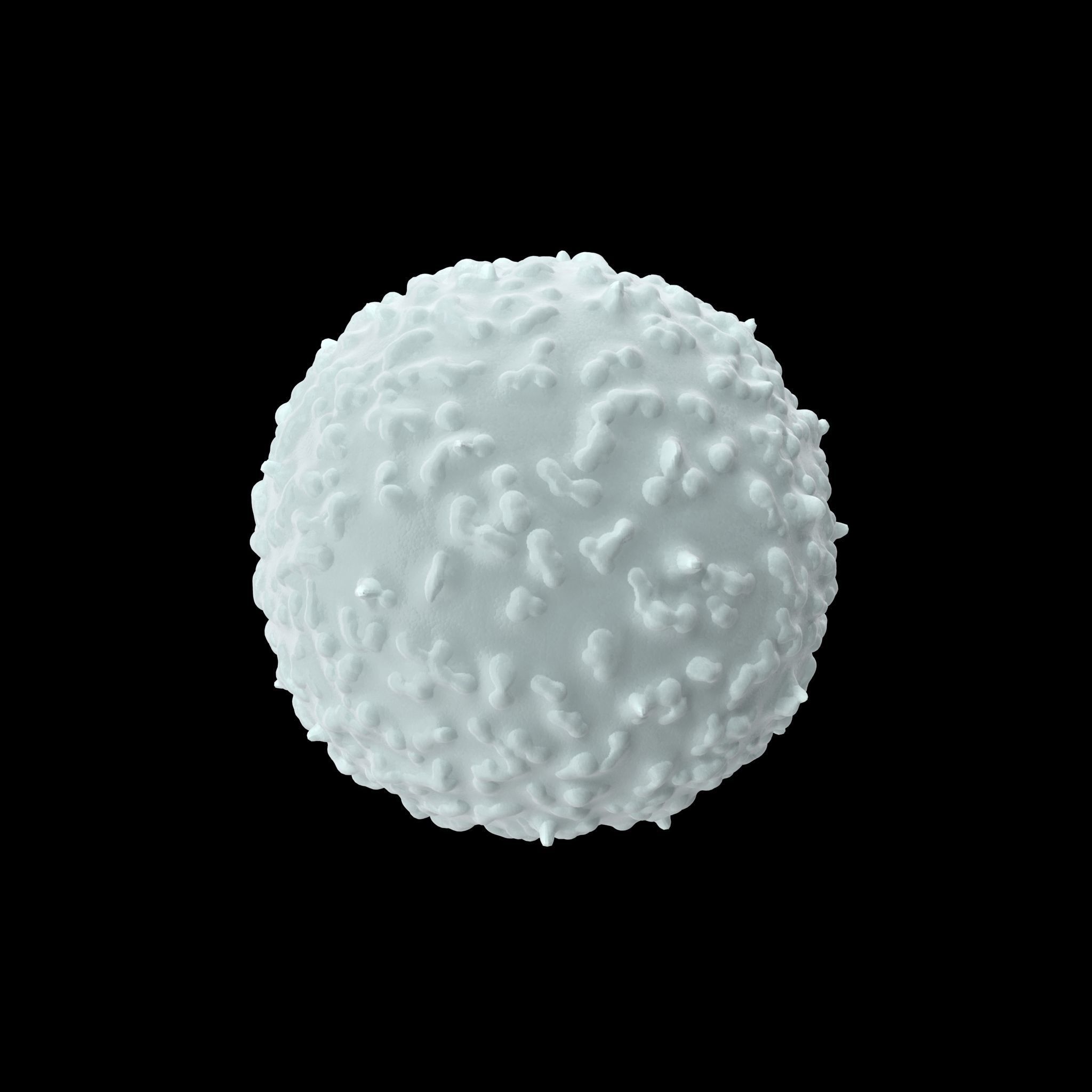 White Blood Cell Low-poly 3D model_9