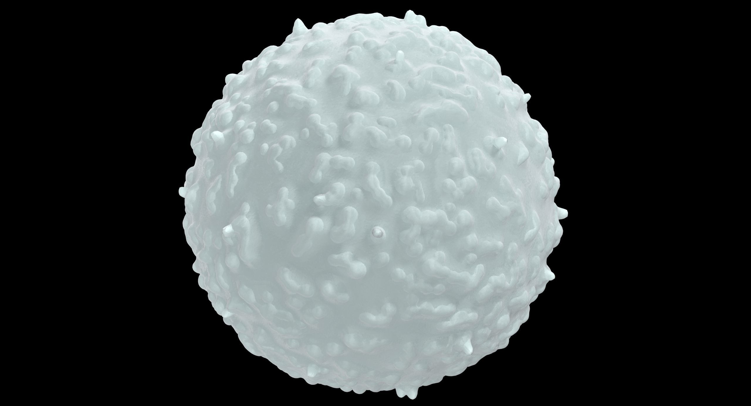 White Blood Cell Low-poly 3D model_16