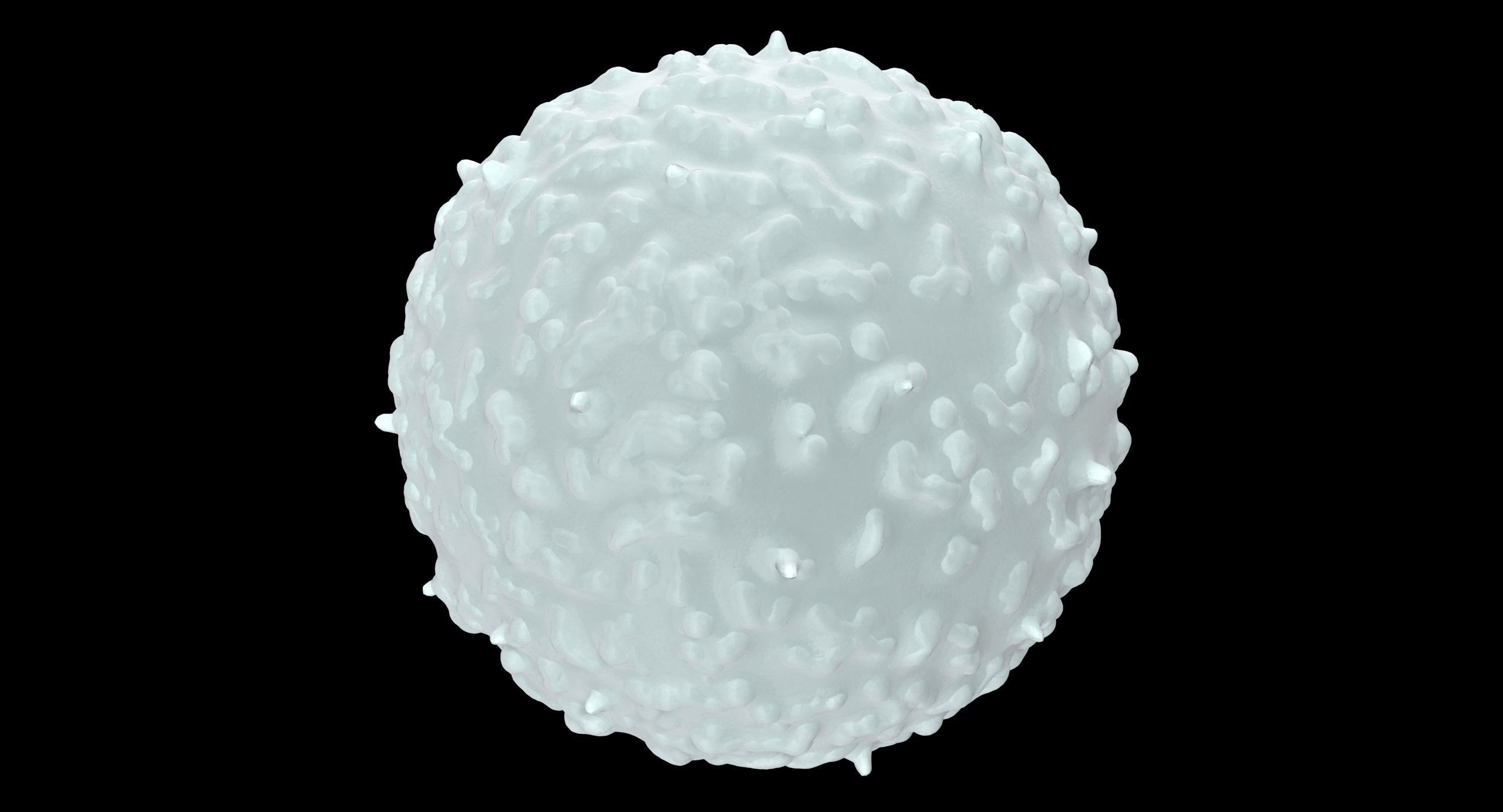 White Blood Cell Low-poly 3D model_15