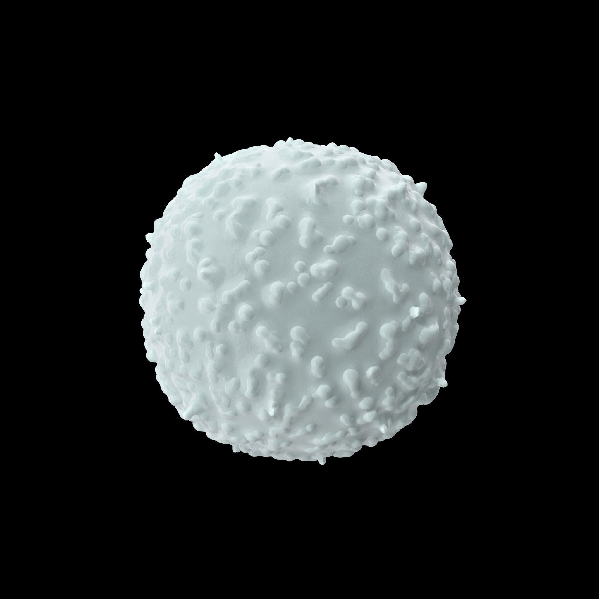 White Blood Cell Low-poly 3D model_11