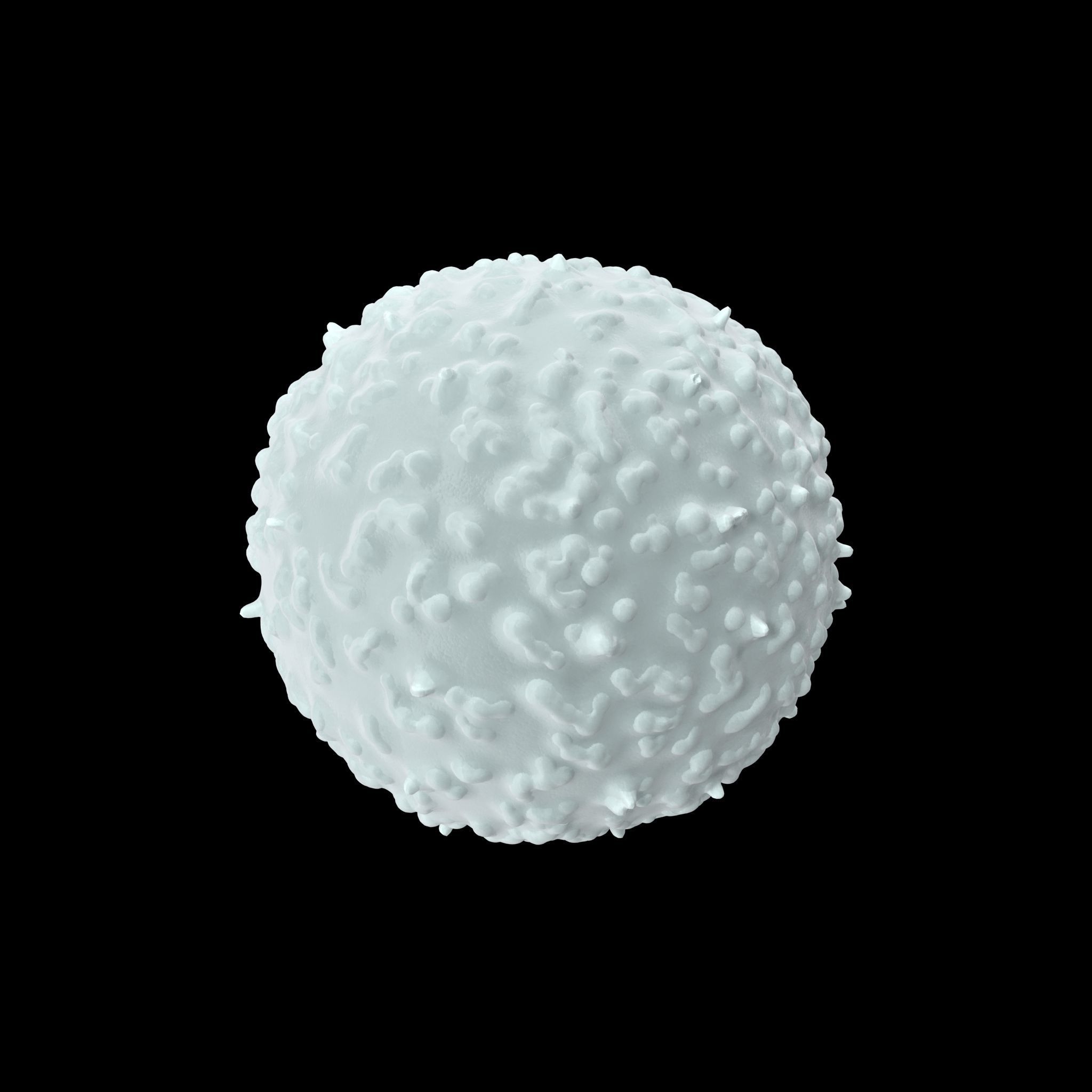 White Blood Cell Low-poly 3D model_7