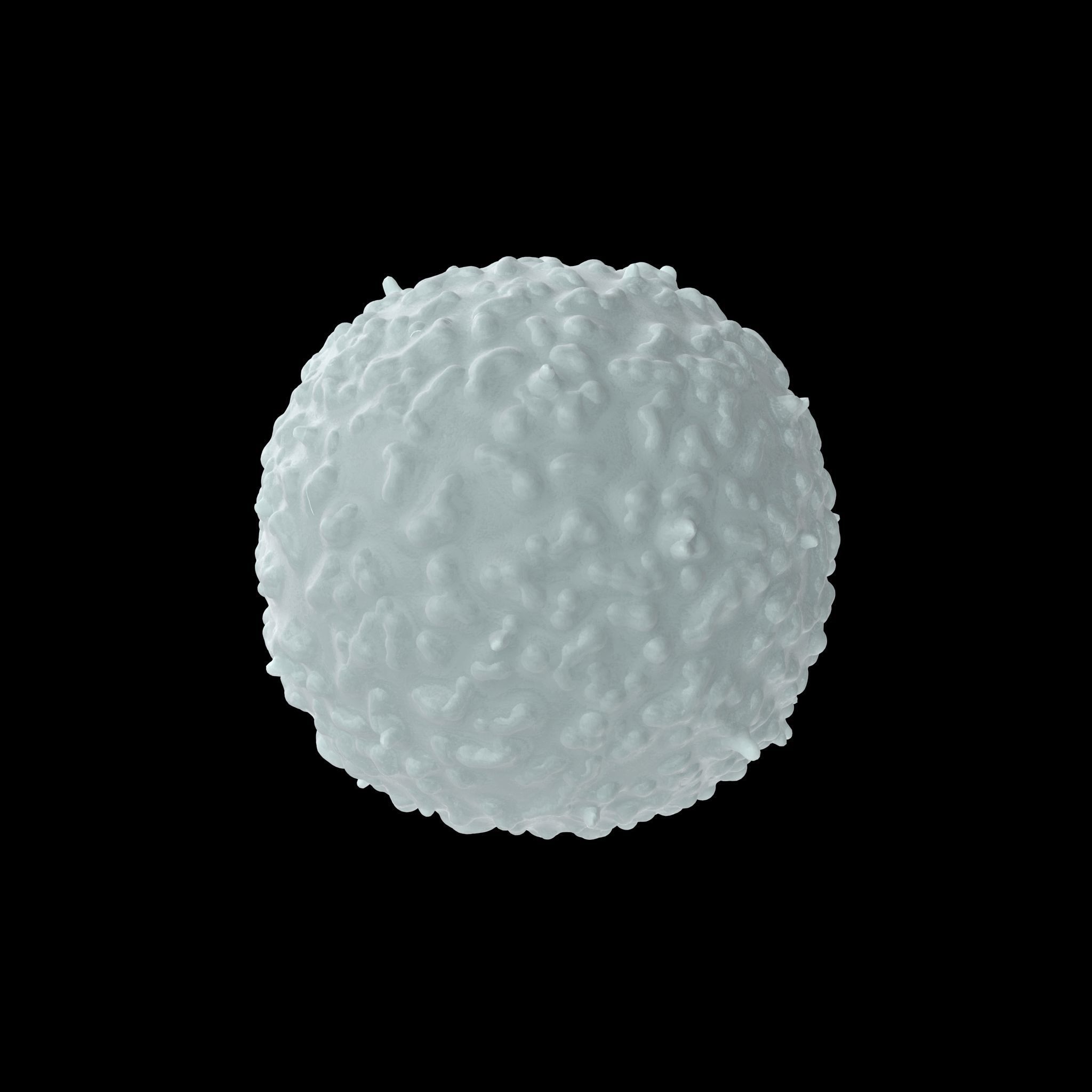 White Blood Cell Low-poly 3D model_13