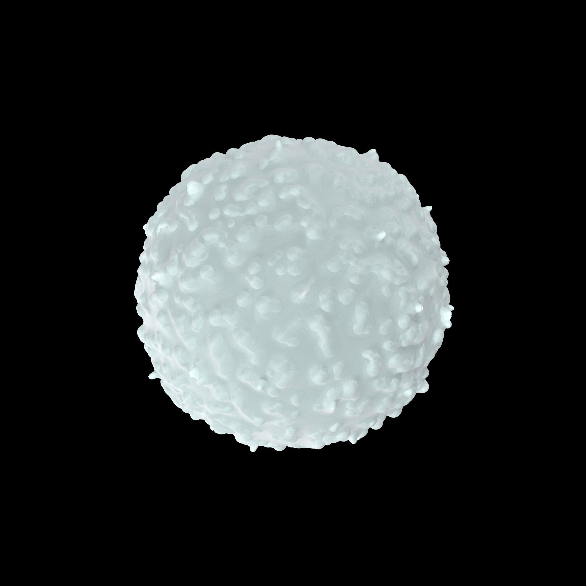White Blood Cell Low-poly 3D model_6