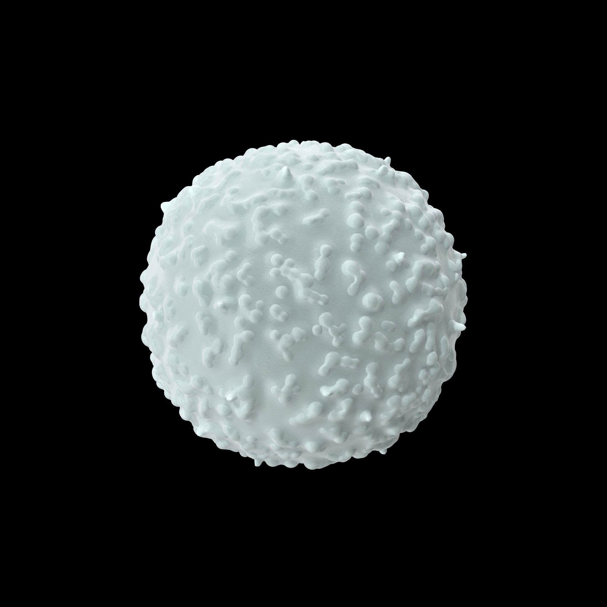 White Blood Cell Low-poly 3D model_12