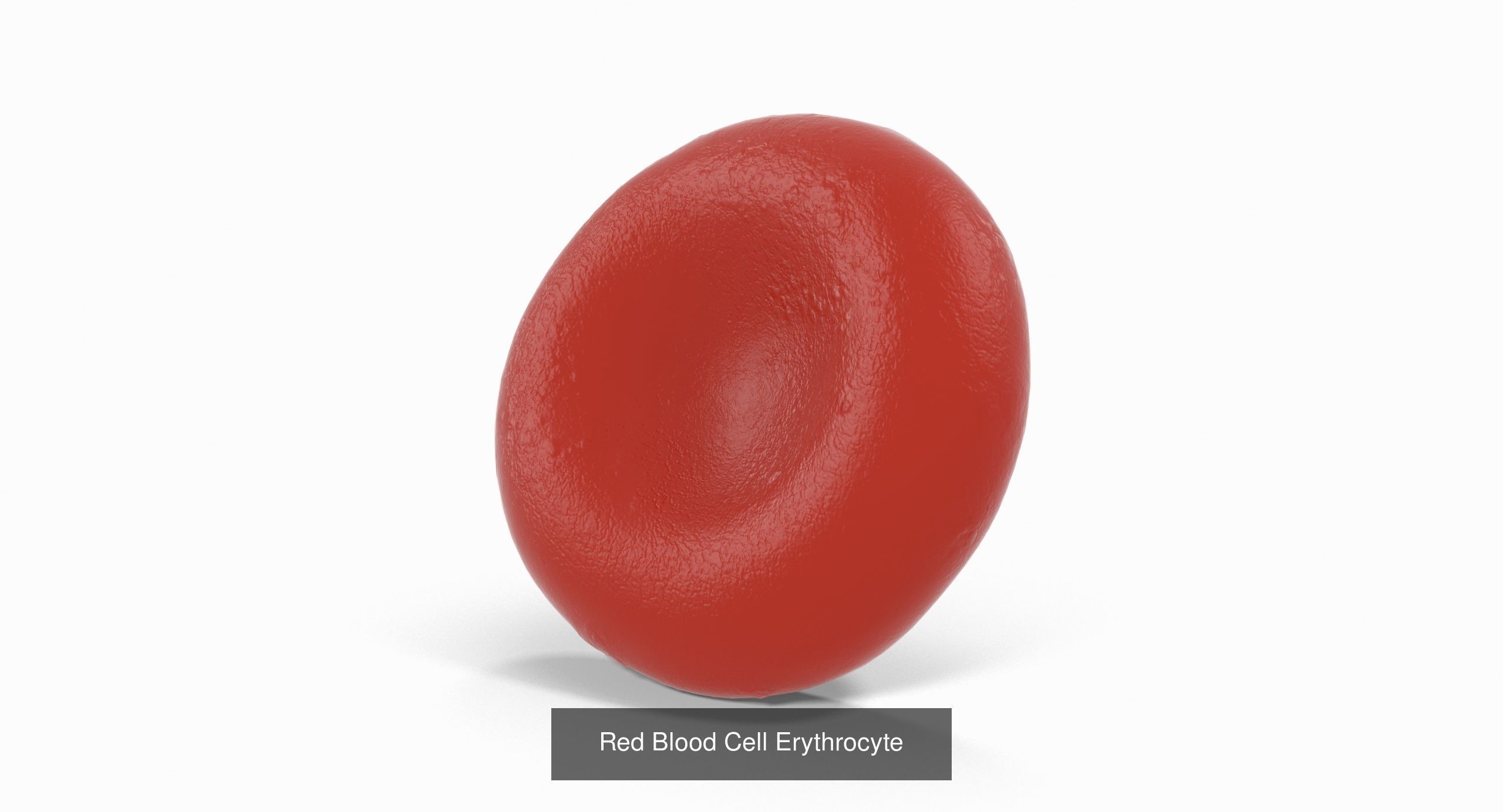 Blood Cells Collection _5