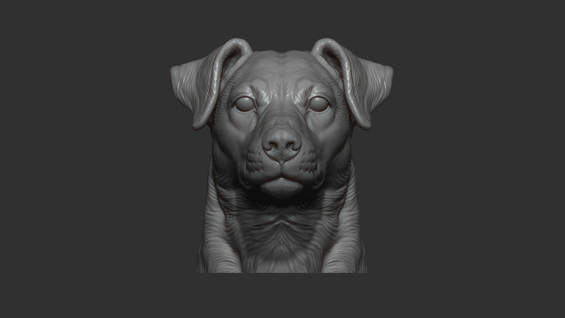 Jack Russell Terrier bust 3D print model_4