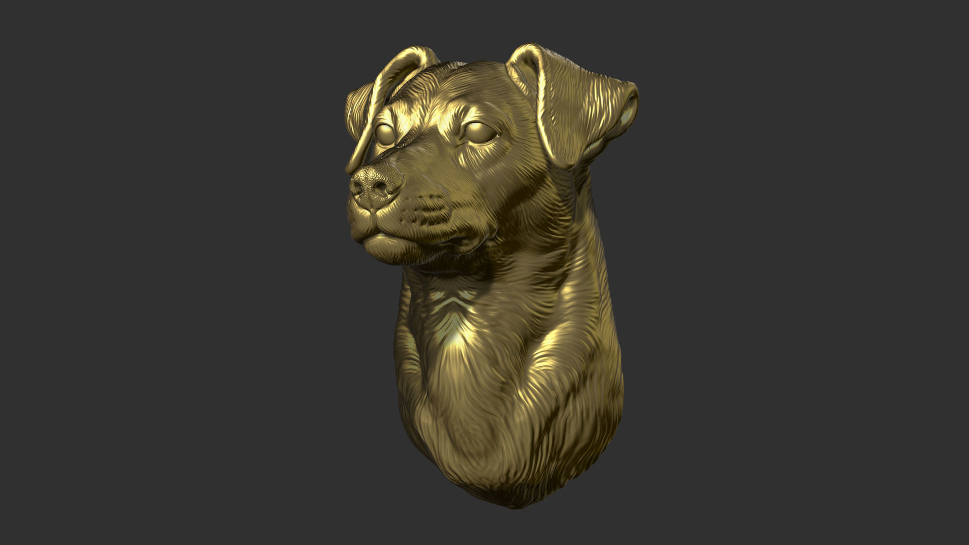 Jack Russell Terrier bust 3D print model_15