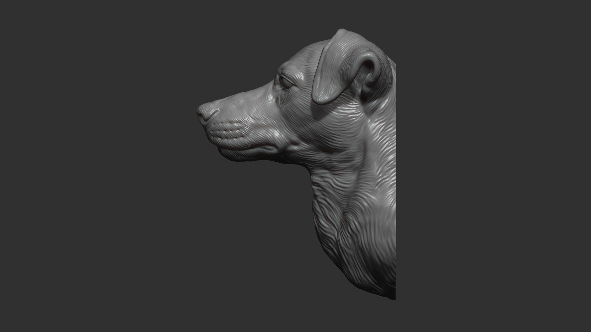 Jack Russell Terrier bust 3D print model_10