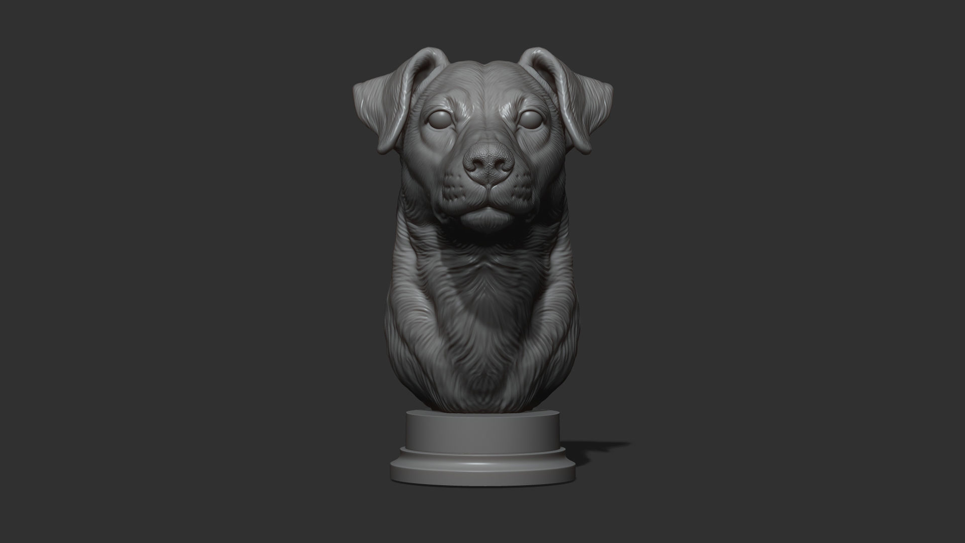 Jack Russell Terrier bust 3D print model_19