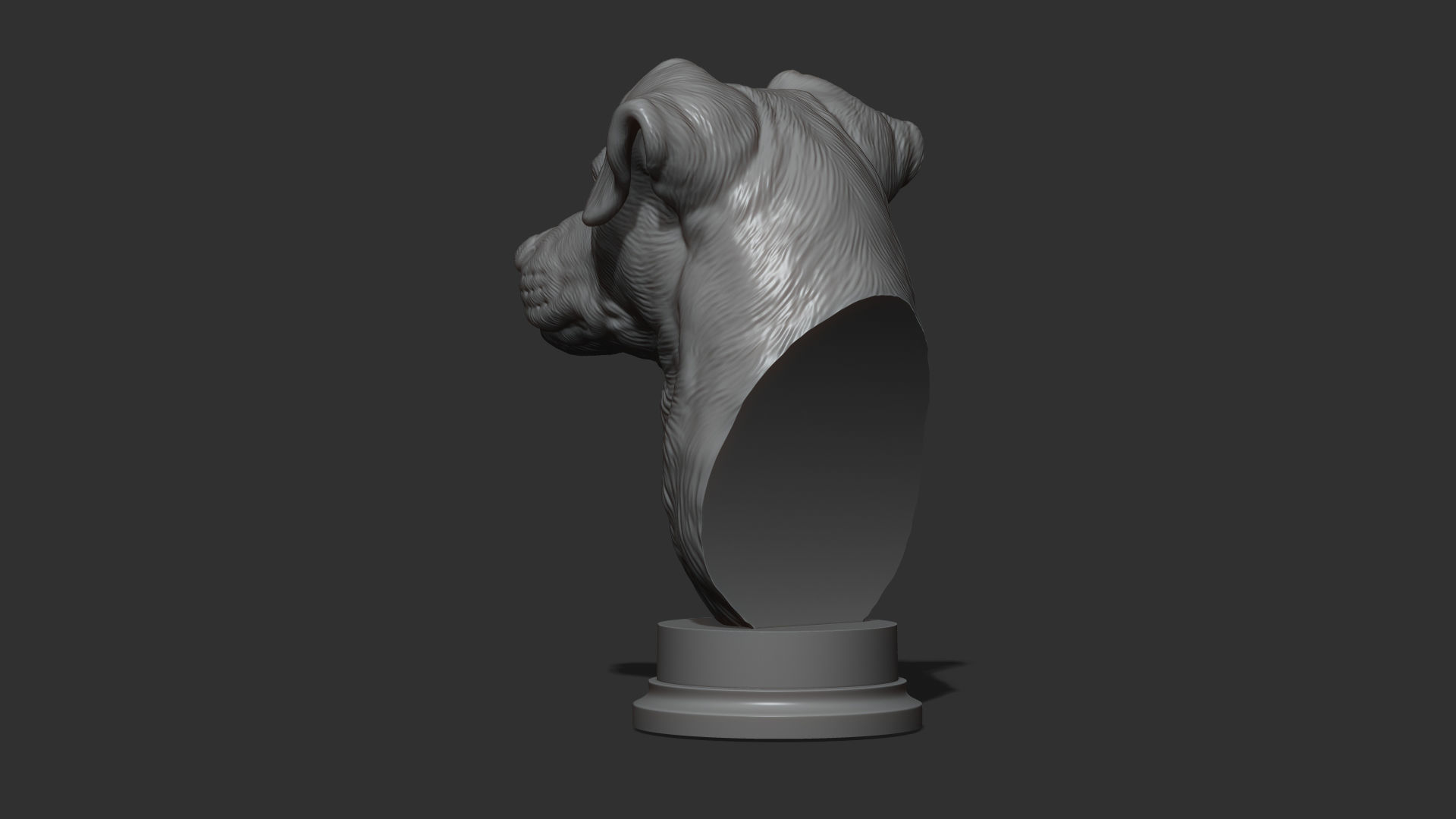 Jack Russell Terrier bust 3D print model_20