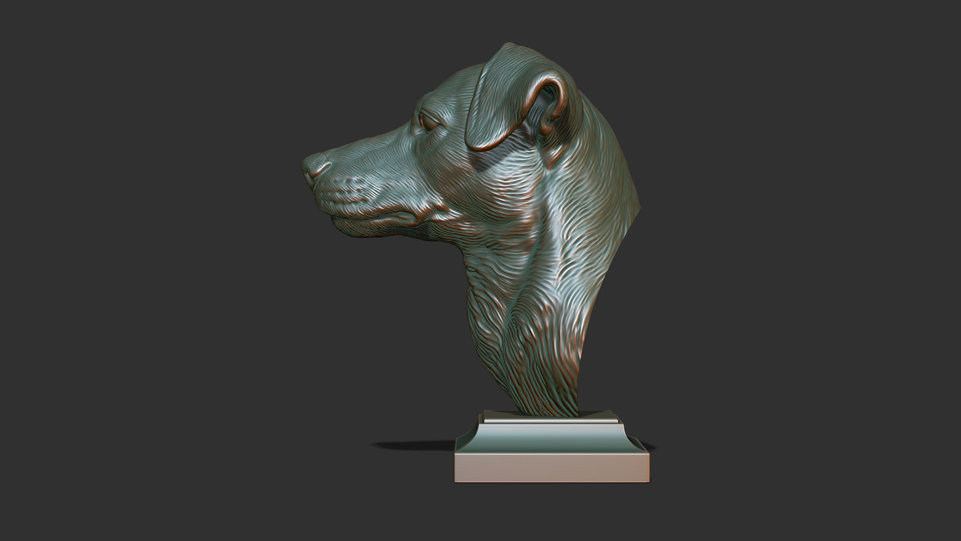 Jack Russell Terrier bust 3D print model_26