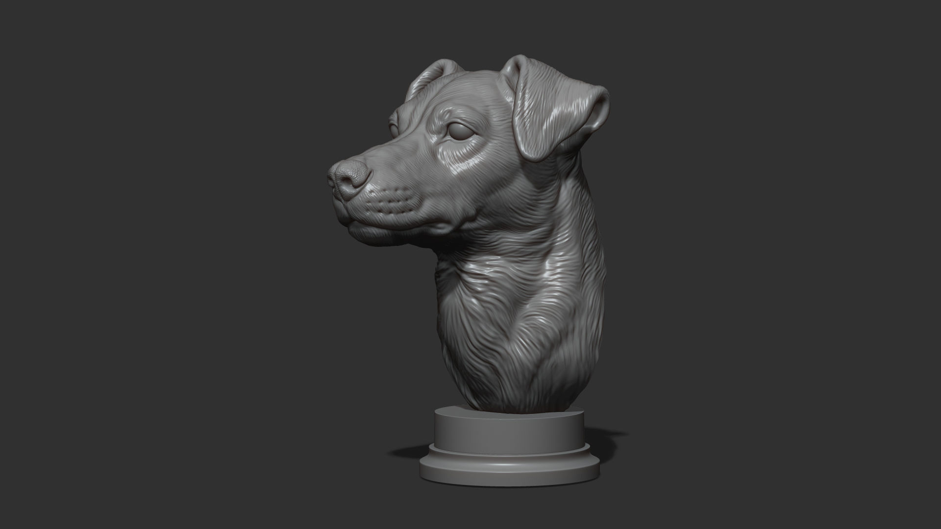 Jack Russell Terrier bust 3D print model_18