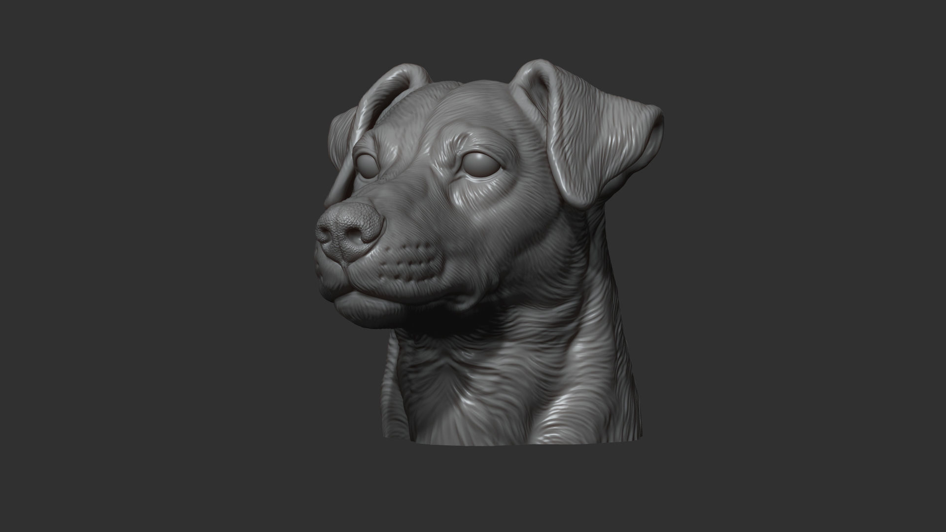 Jack Russell Terrier bust 3D print model_3