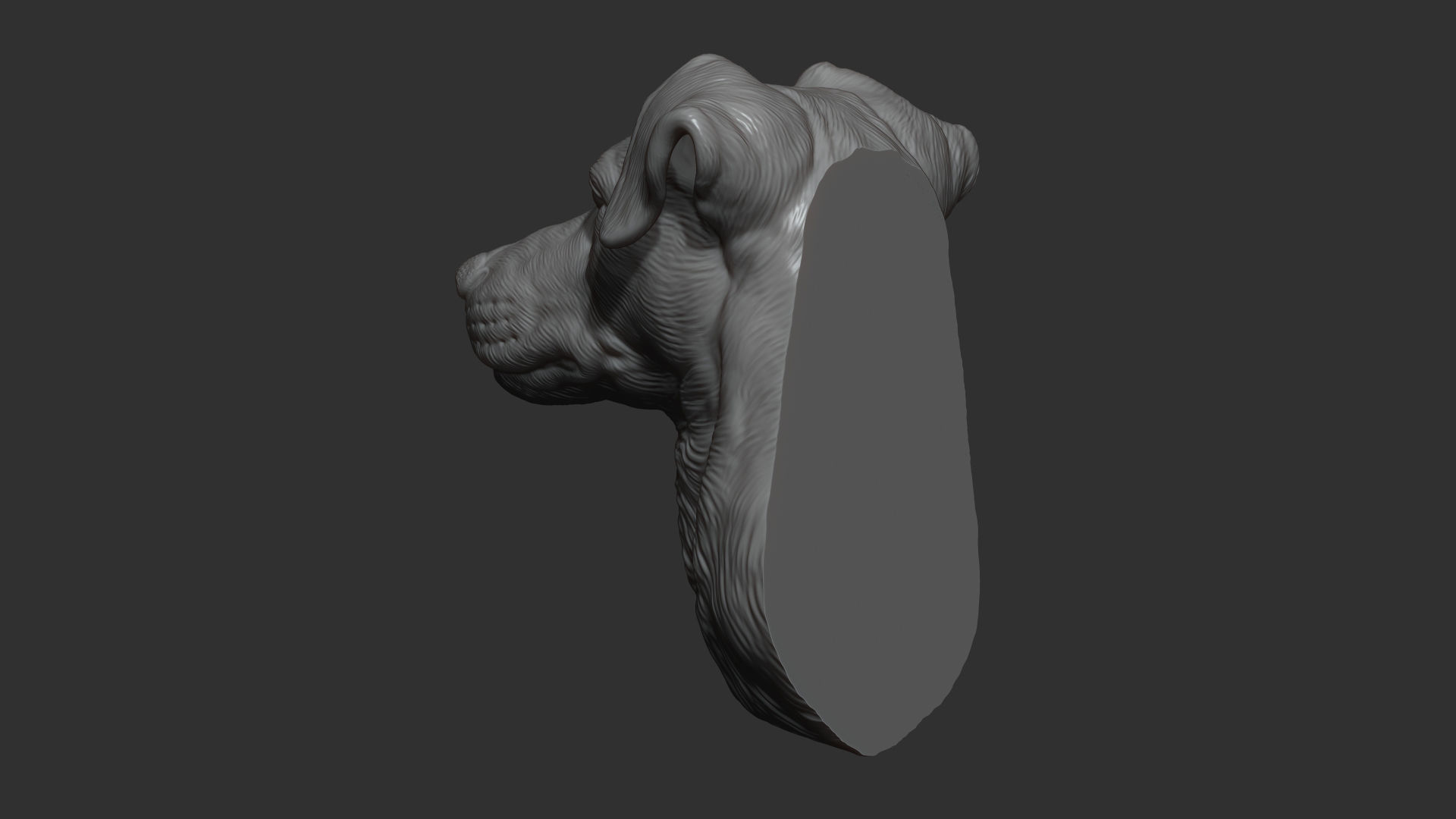 Jack Russell Terrier bust 3D print model_13