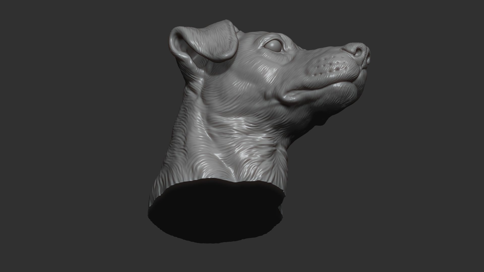 Jack Russell Terrier bust 3D print model_5