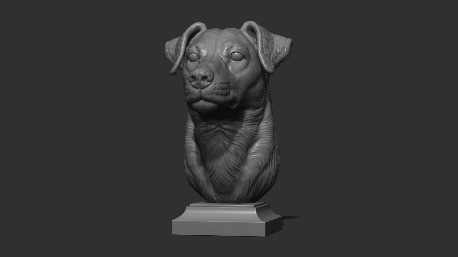 Jack Russell Terrier bust 3D print model_25