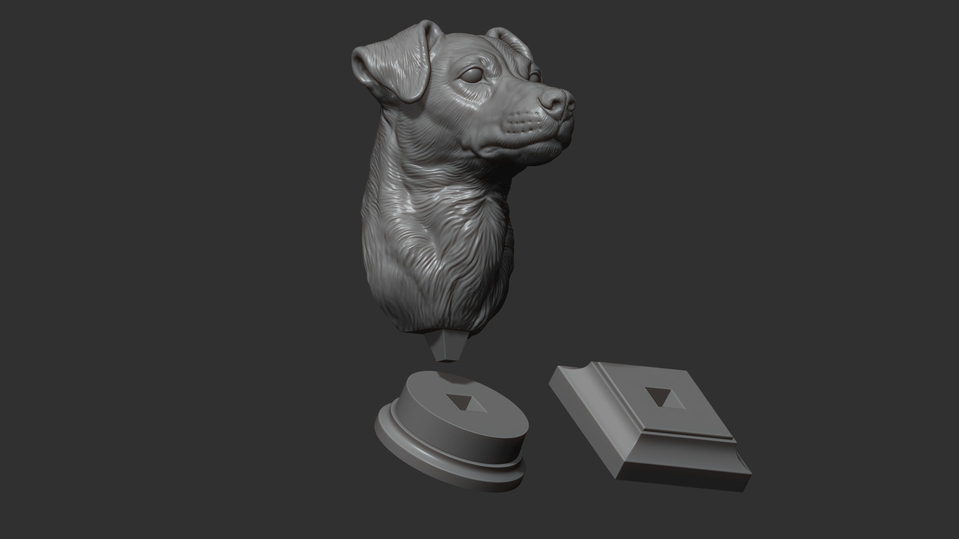 Jack Russell Terrier bust 3D print model_28