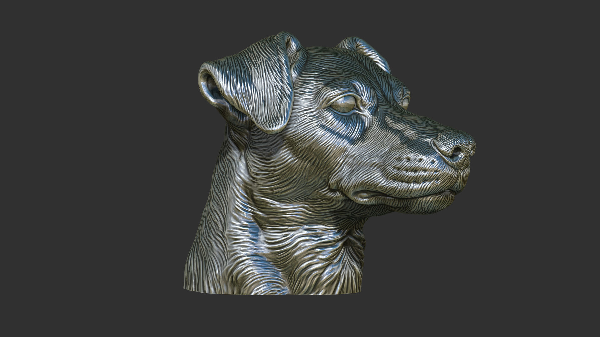 Jack Russell Terrier bust 3D print model_9