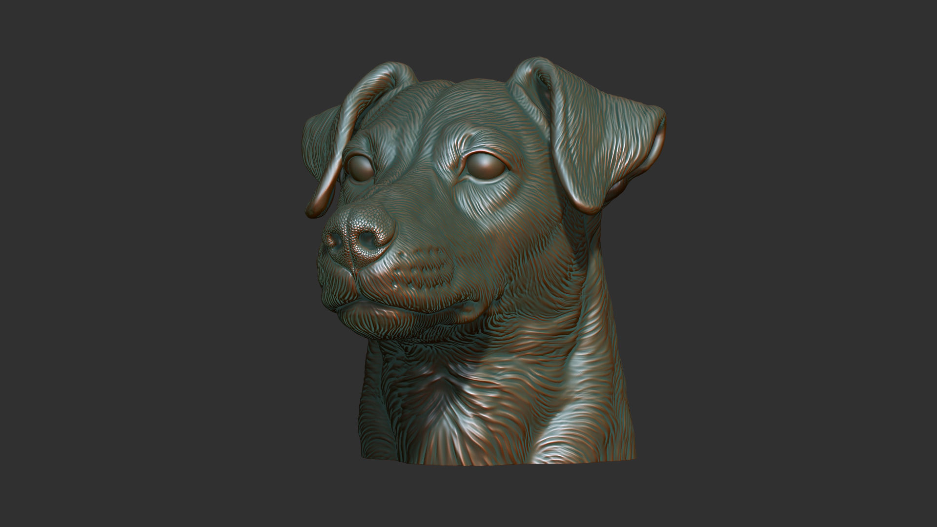 Jack Russell Terrier bust 3D print model_7