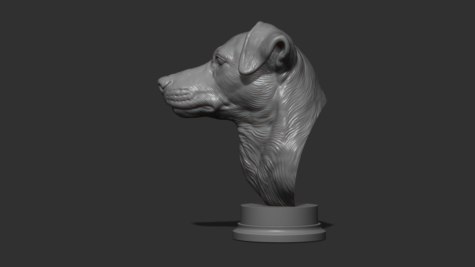 Jack Russell Terrier bust 3D print model_17