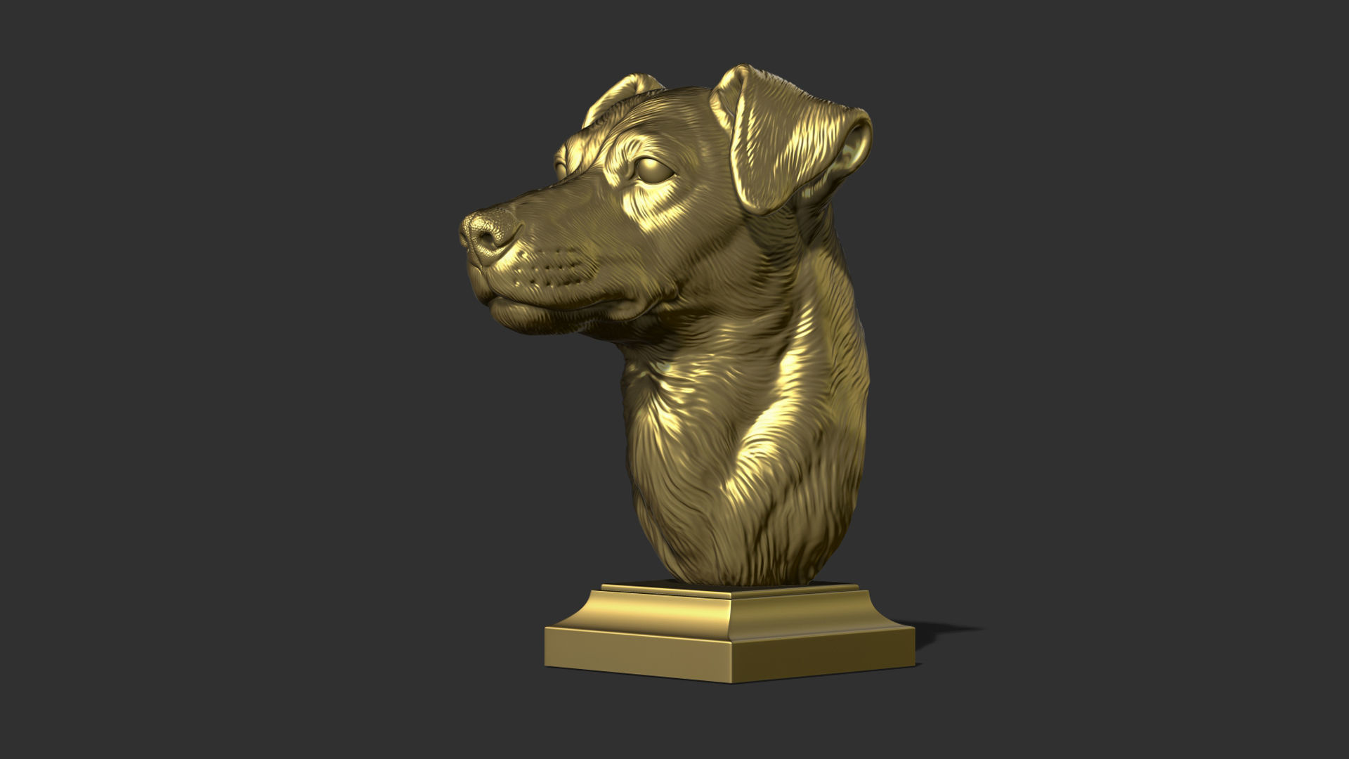 Jack Russell Terrier bust 3D print model_27