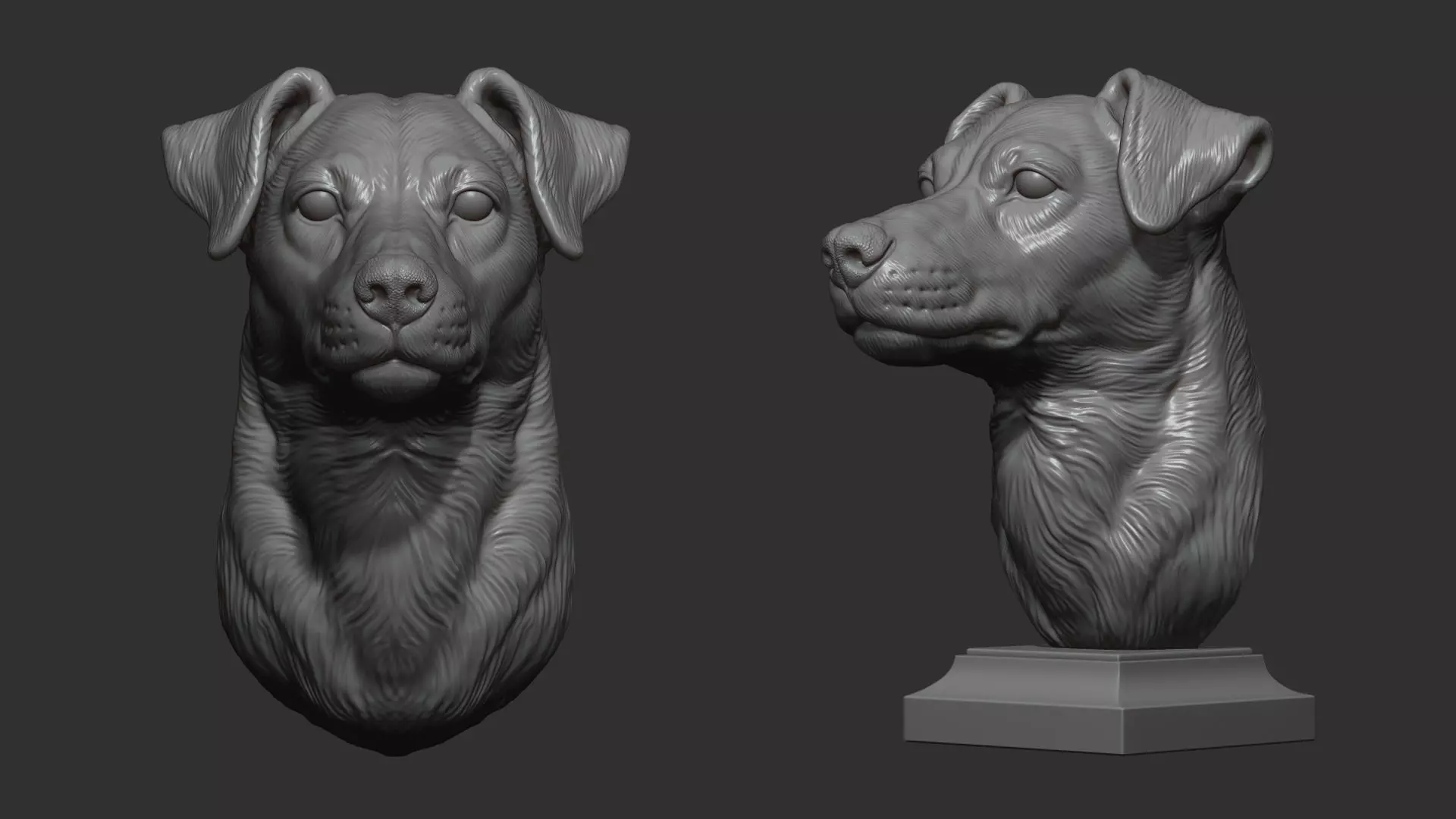 Jack Russell Terrier bust 3D print model_0