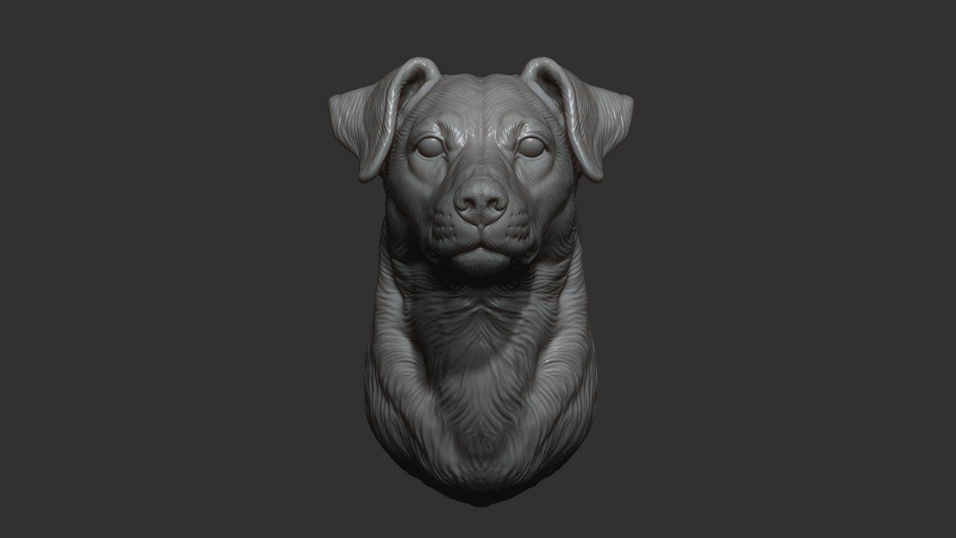Jack Russell Terrier bust 3D print model_11