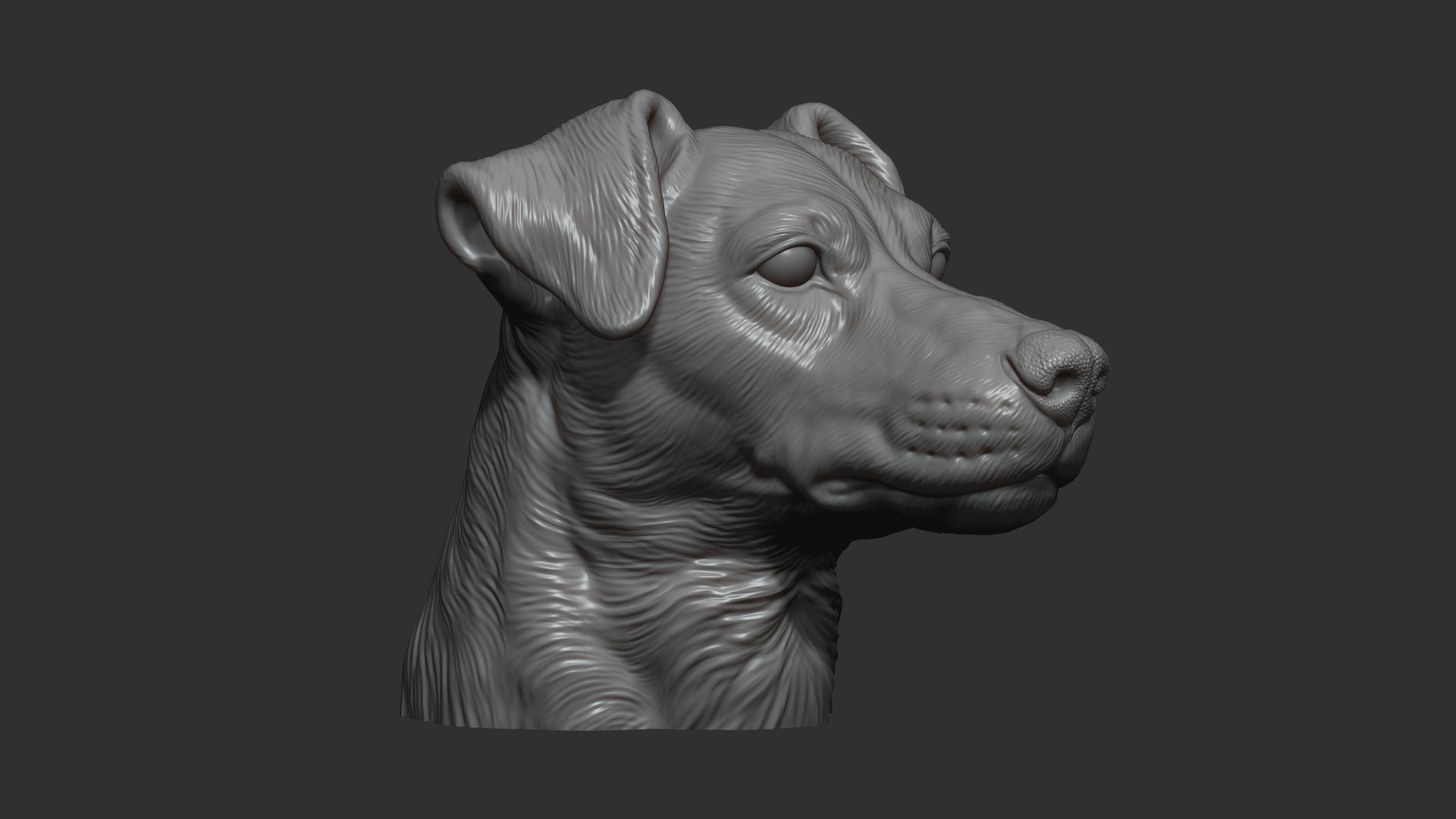 Jack Russell Terrier bust 3D print model_6