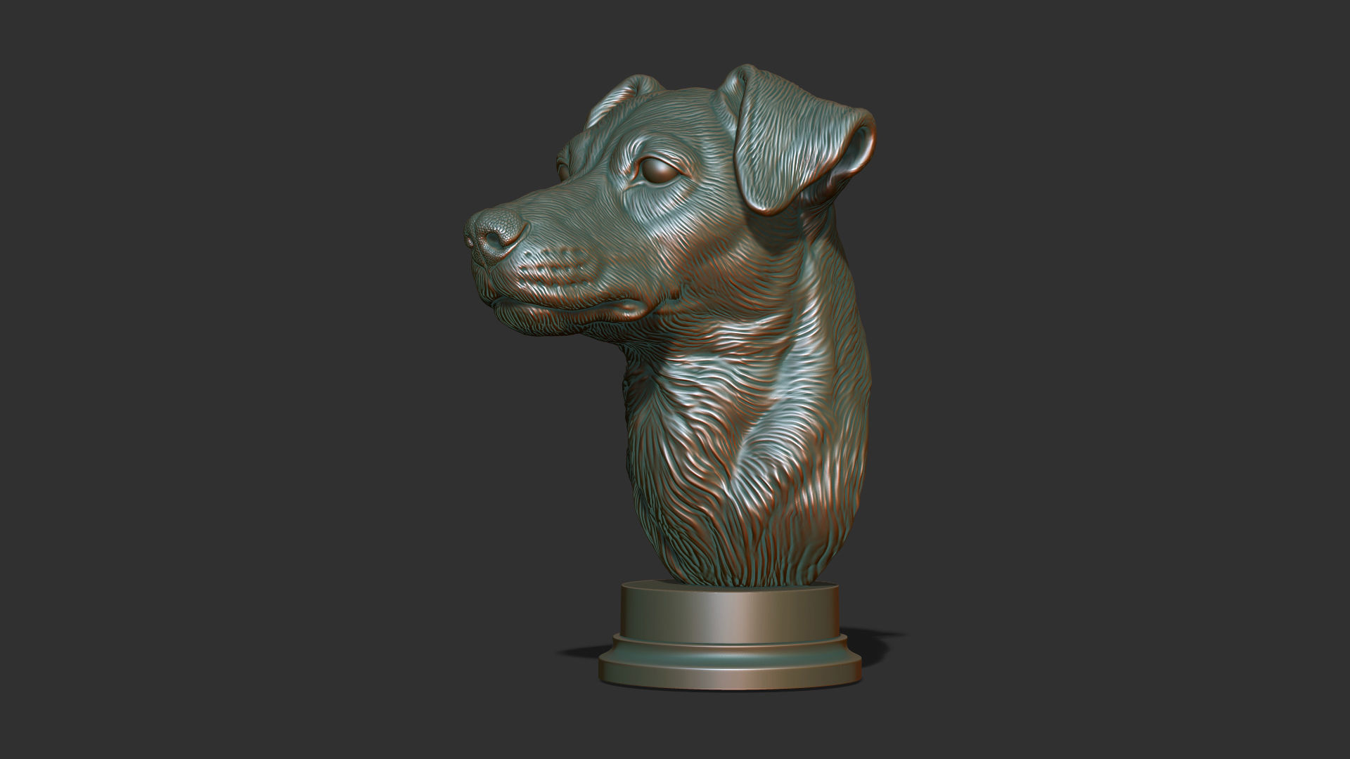 Jack Russell Terrier bust 3D print model_21
