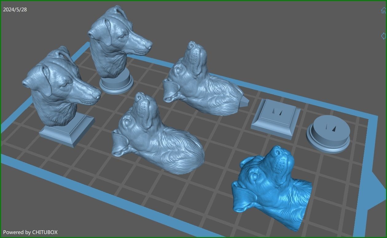 Jack Russell Terrier bust 3D print model_1