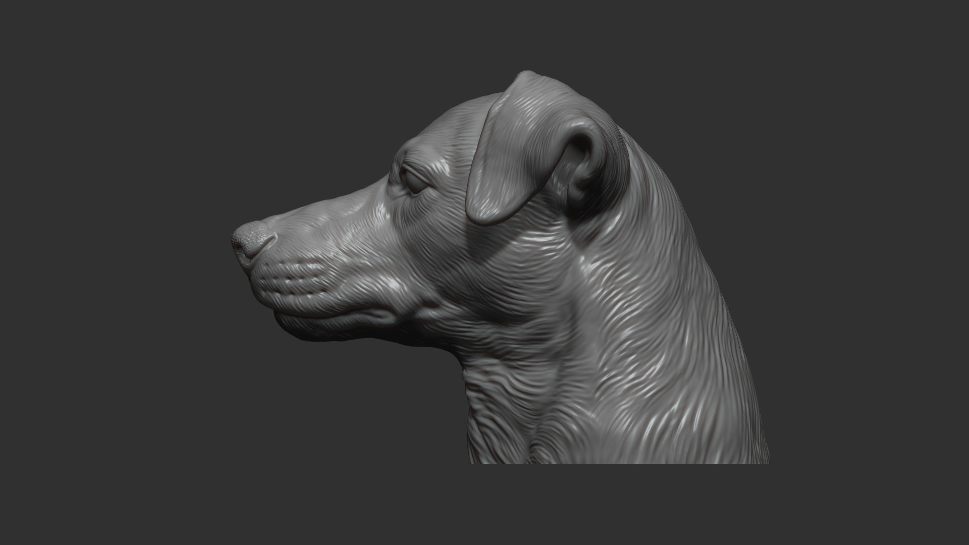 Jack Russell Terrier bust 3D print model_2