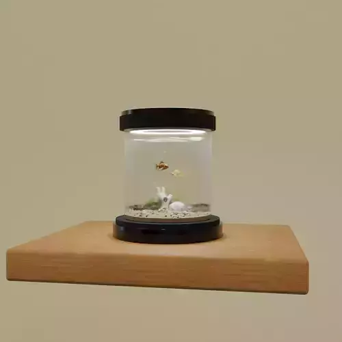 Fish Tank