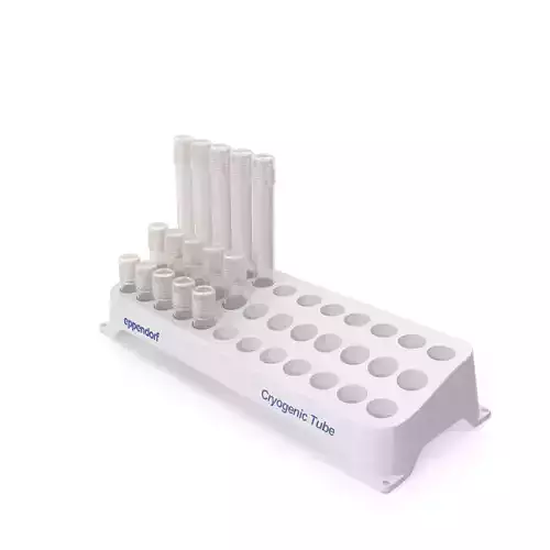 Eppendorf tube rack Cryogenic Low-poly 3D model