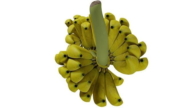 Bunch of Banana 3D model 7