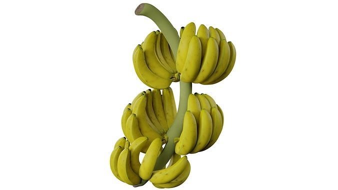Bunch of Banana 3D model 6