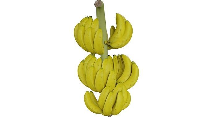 Bunch of Banana 3D model 5