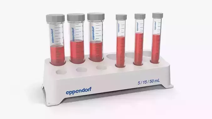 Eppendorf tube rack 5ml 15ml 50ml Low-poly 3D model